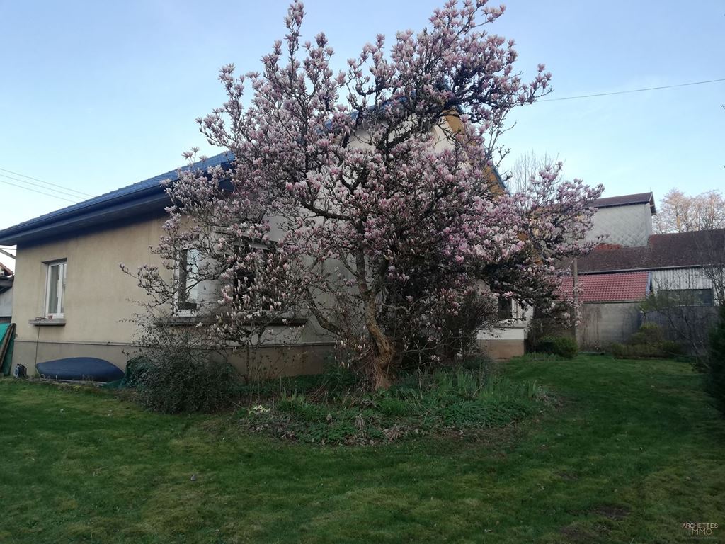 Maison indépendante SAULCY SUR MEURTHE (88580) ARCHETTES IMMO