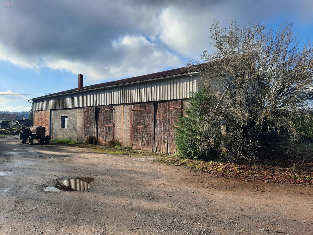 Garage ARCHETTES (88380) ARCHETTES IMMO