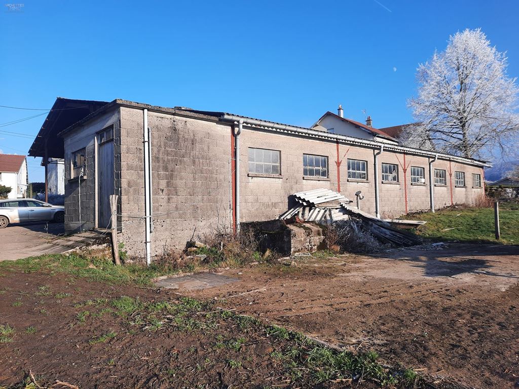 Ferme LA CHAPELLE AUX BOIS (88240) ARCHETTES IMMO