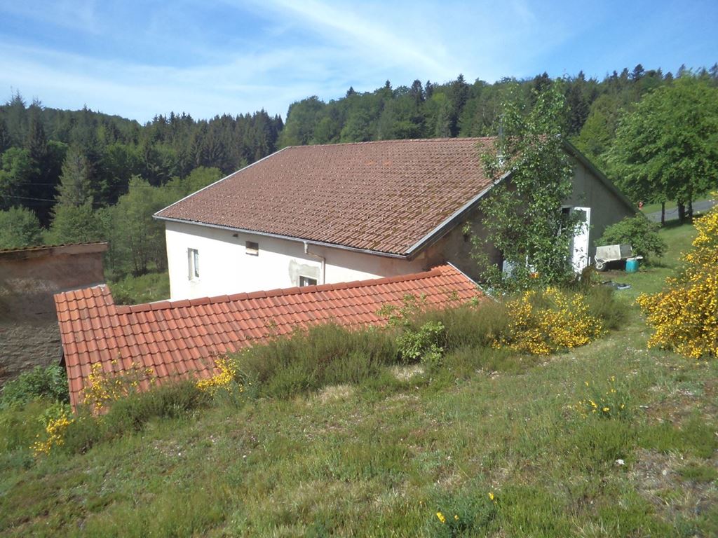 Ferme RAON AUX BOIS (88220) ARCHETTES IMMO
